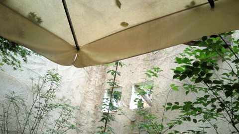 200909151336000.jpg