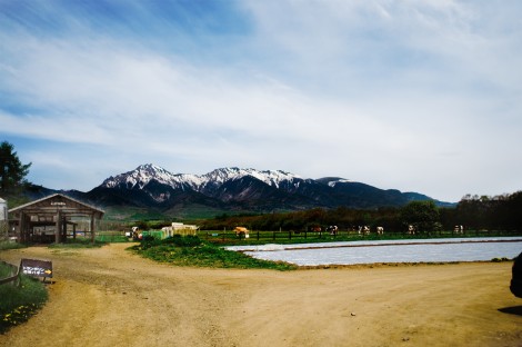 DSC_5303-3